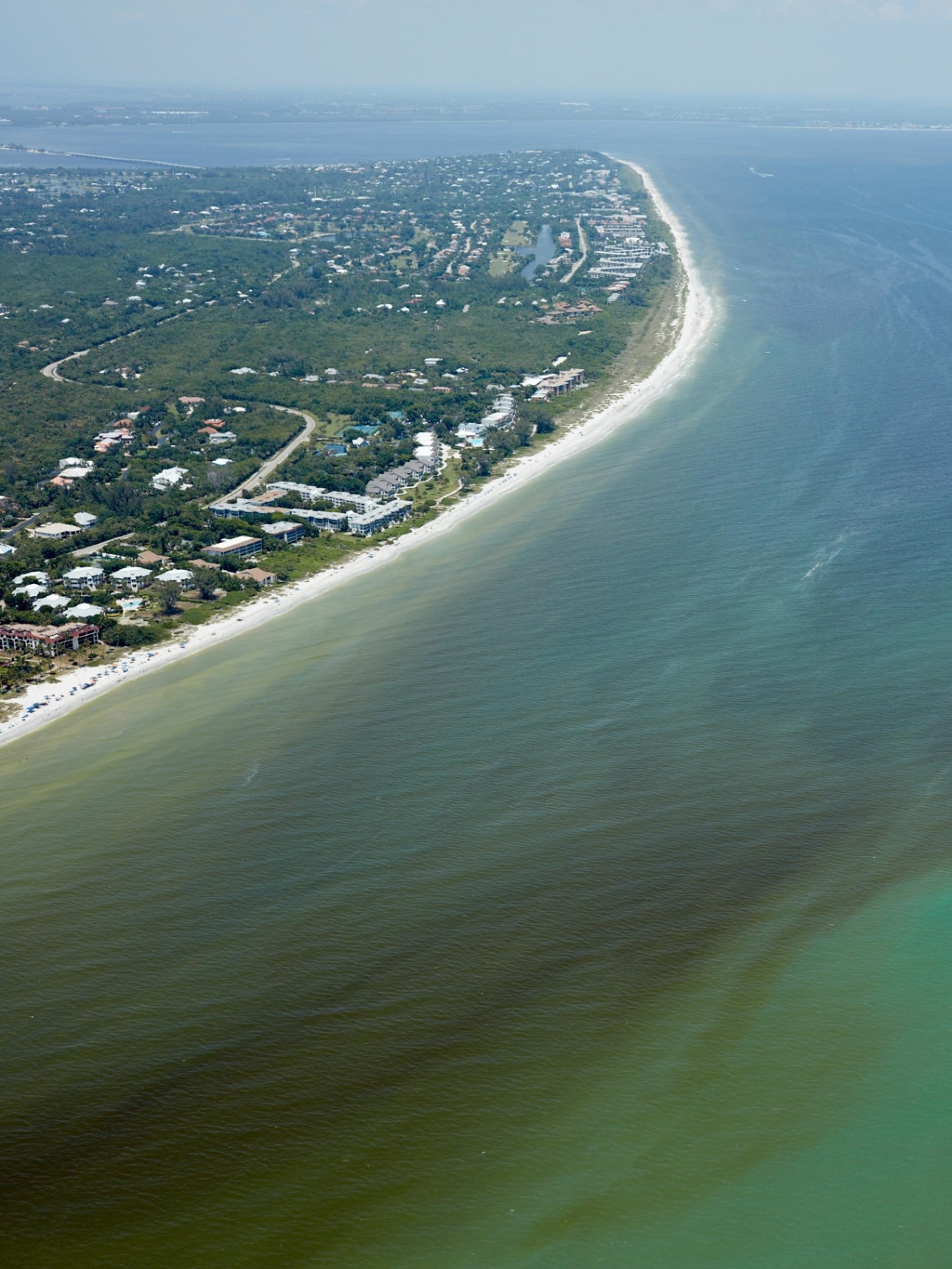 Red Tide Refresher - Fish & Wildlife Foundation of Florida
