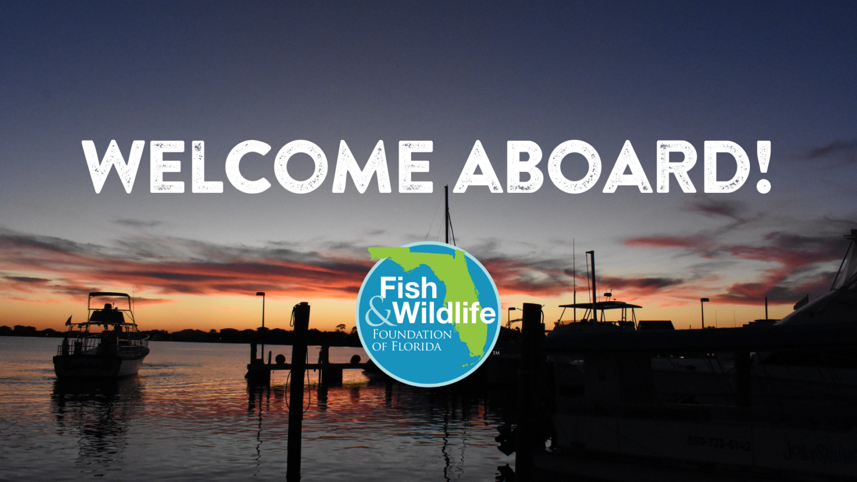Welcome Tooffish Welcome Aboard to Our New Board Members! - Fish & Wildlife Foundation ...