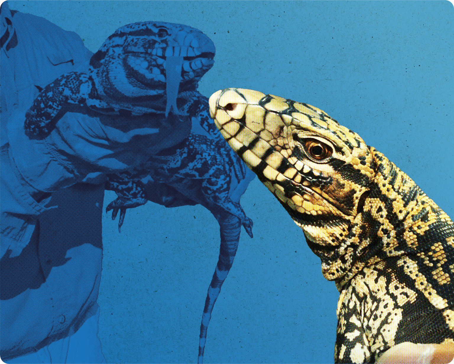 Tackling tegus - Fish & Wildlife Foundation of Florida