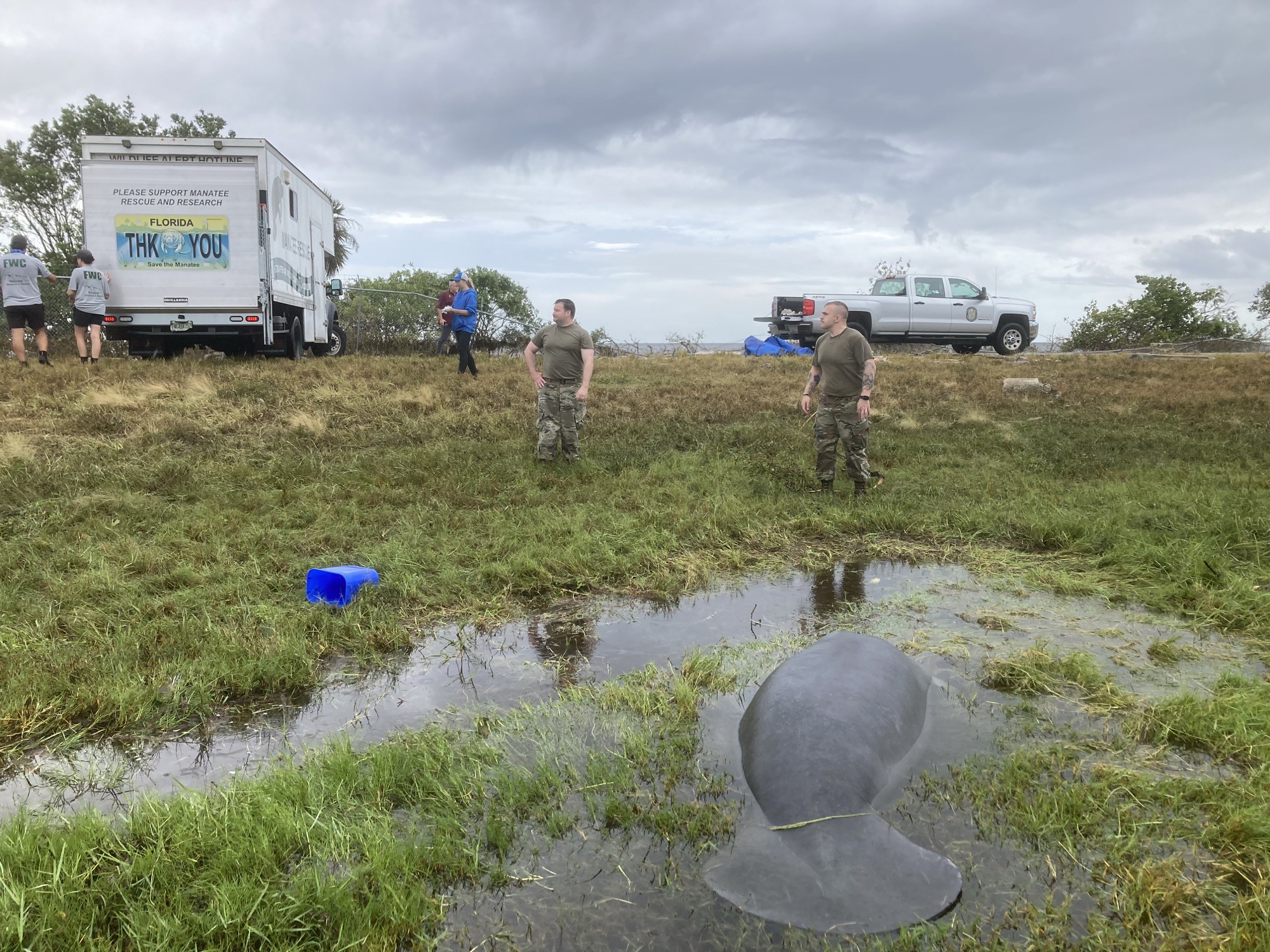 Hurricane Helene Effects on Conservation - Fish & Wildlife Foundation ...