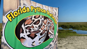 Congratulations to the 2024 Python Challenge Winners! - Fish & Wildlife ...