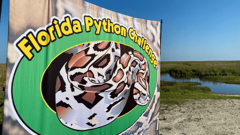 Congratulations to the 2024 Python Challenge Winners! - Fish & Wildlife ...